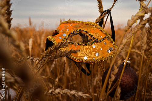 carnival mask in wheat