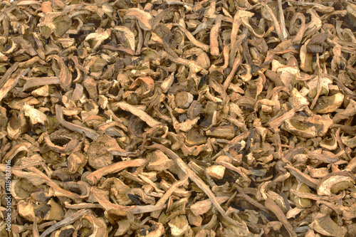 background of dried mushrooms