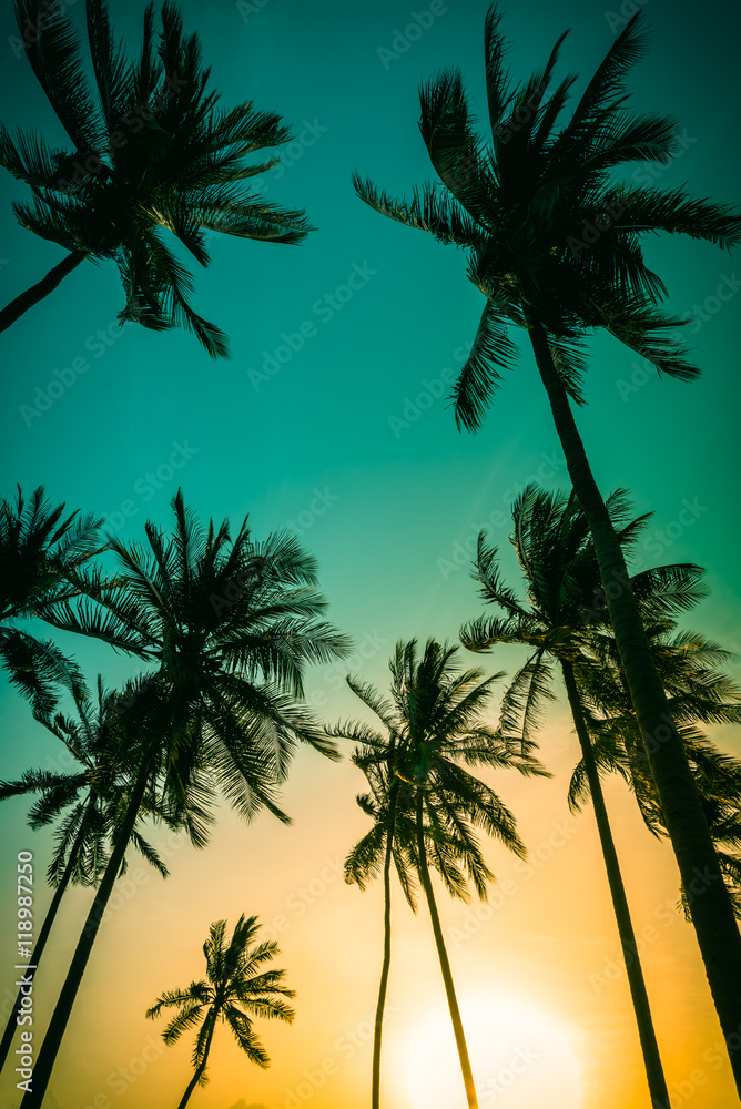 Obraz premium Silhouette coconut palm trees on beach at sunset. Vintage tone.