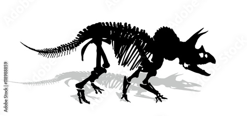 Skeleton of dinosaur. 