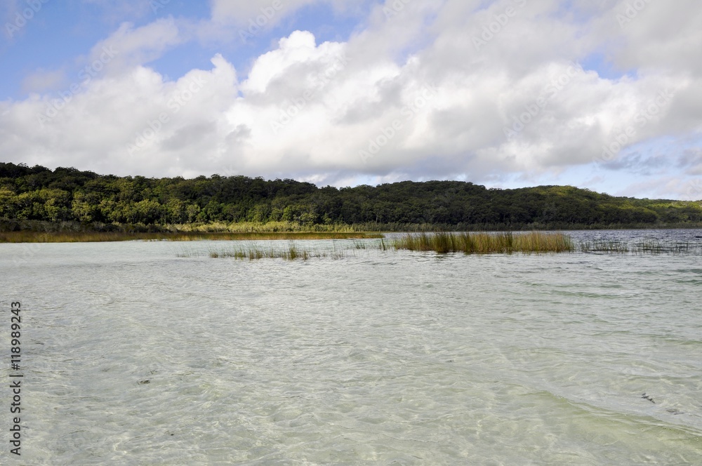 landscape along the shores of the crystal clear Lake Birrabeen on Fraser Island, Australia 