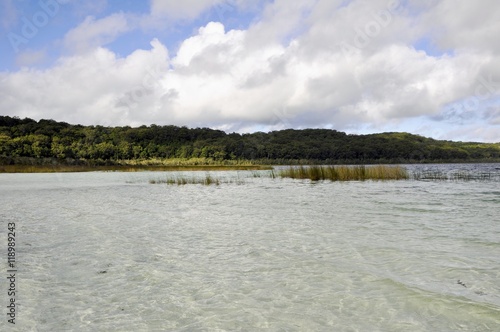 landscape along the shores of the crystal clear Lake Birrabeen on Fraser Island, Australia 