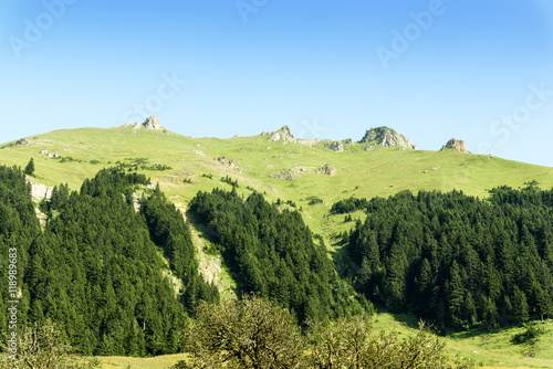 beautiful nature and blue sky photo