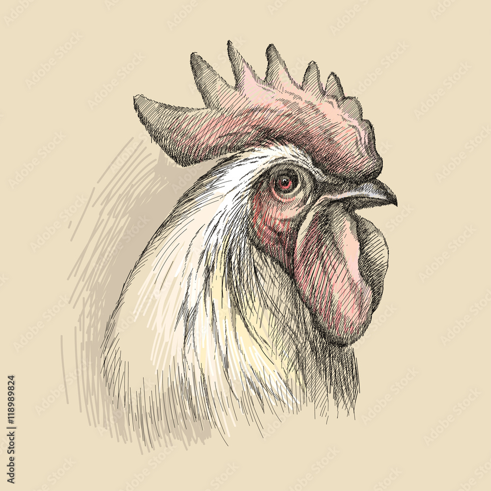 Φωτογραφία Vector sketch of rooster or cock head profile in black on the pastel beige background