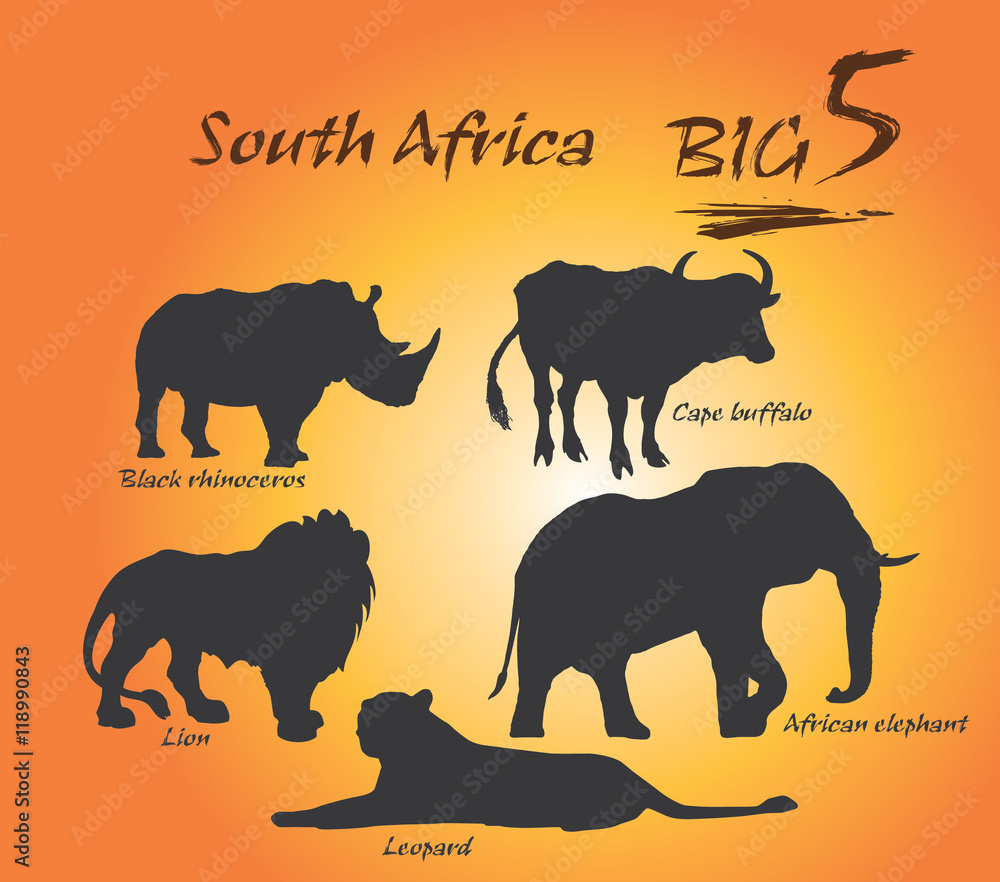 Big Five In Africa The Big Five Game Animals Are The African Lion big-five-in-africa-the-big-five-game-animals-are-the-african-lion