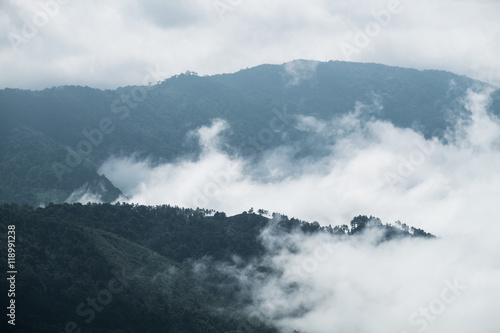Cloud fog motion through mountain at doi inthanon, chiang mai
