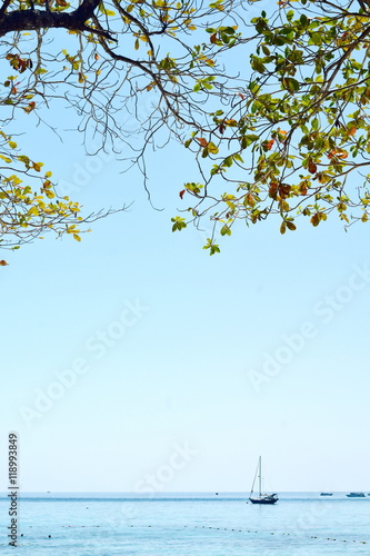 Fototapeta Naklejka Na Ścianę i Meble -  Sunny day on the island