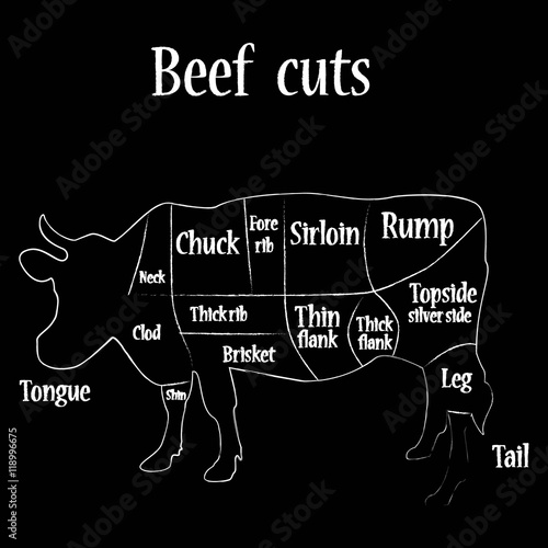 Beef cuts vector