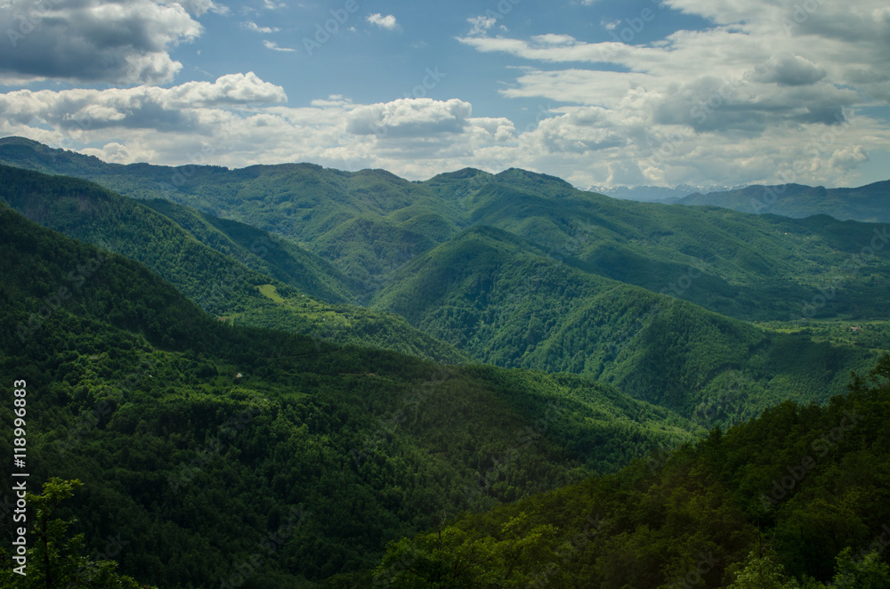 Forest reserve in Montenegro