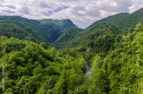 Forest reserve in Montenegro