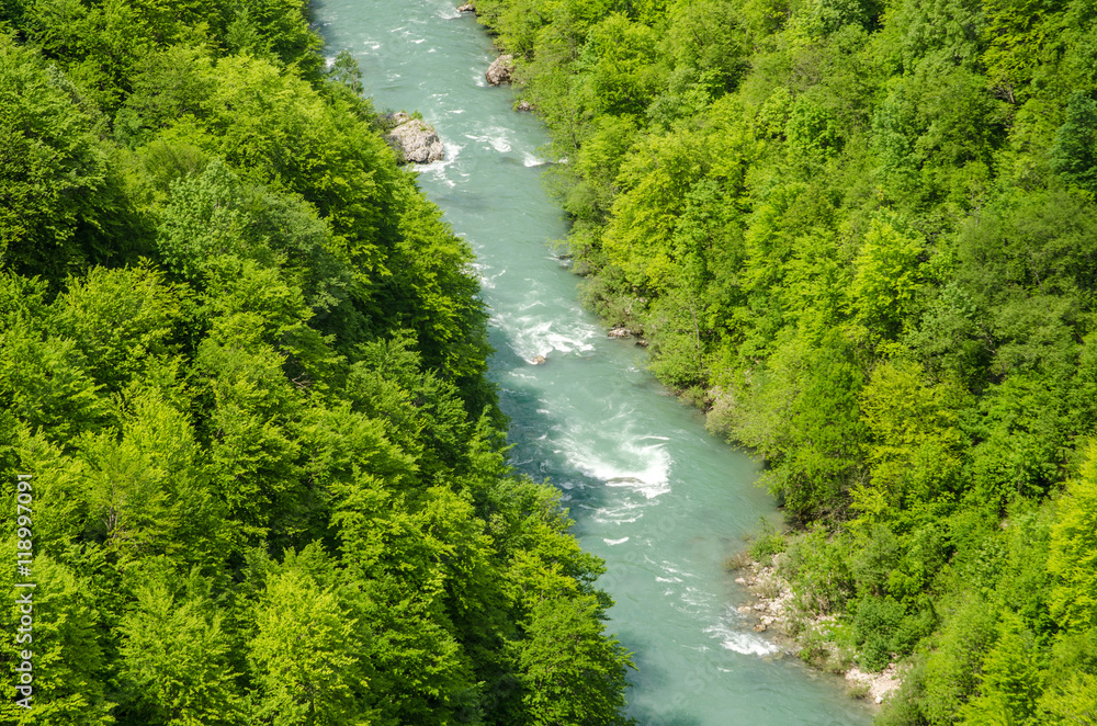 View of the canyon from the bridge View of the canyon from the bridge