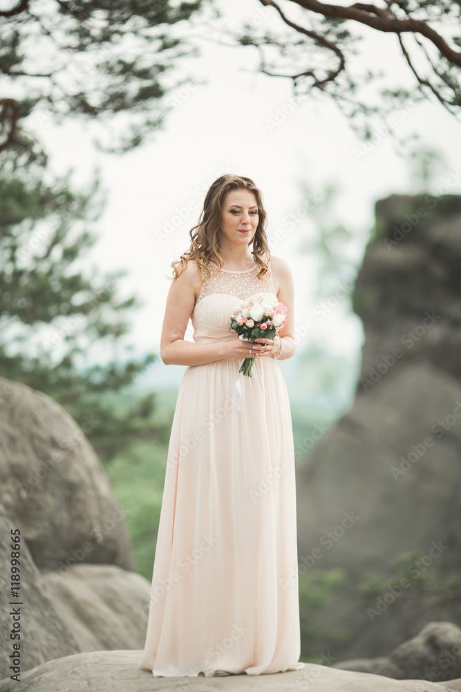 Beautiful bride posing near rocks against background the mountains