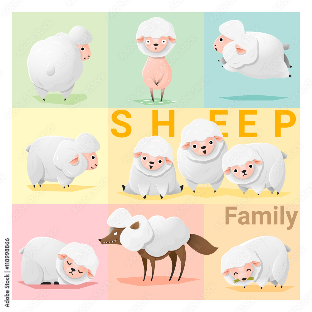 Fototapeta premium Zestaw rodziny owiec, wektor, ilustracja