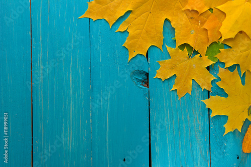 Fotografija Autumn leaves over turquoise wooden background with empty space