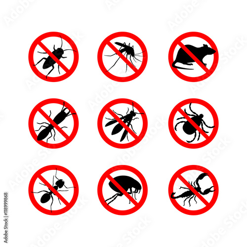 Signals of different insect pests on a white background