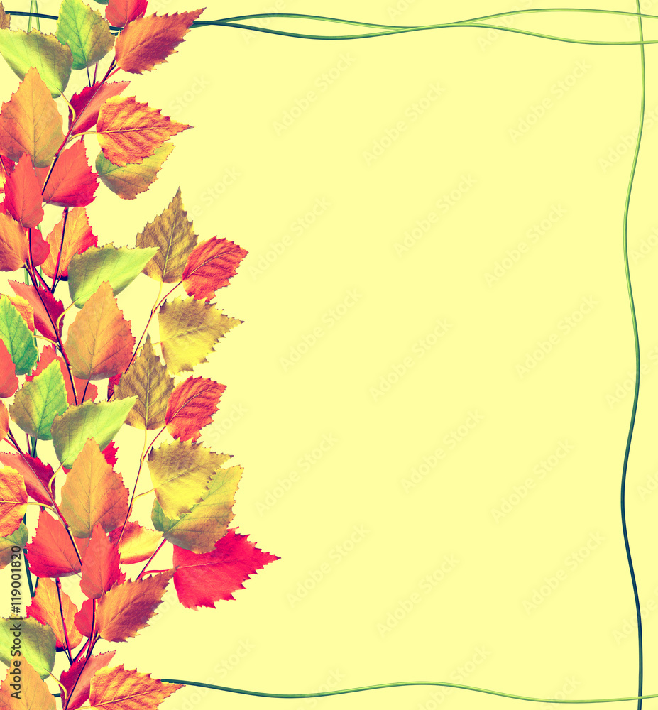 Colorful autumn leaves. Frame from stem nasturtium