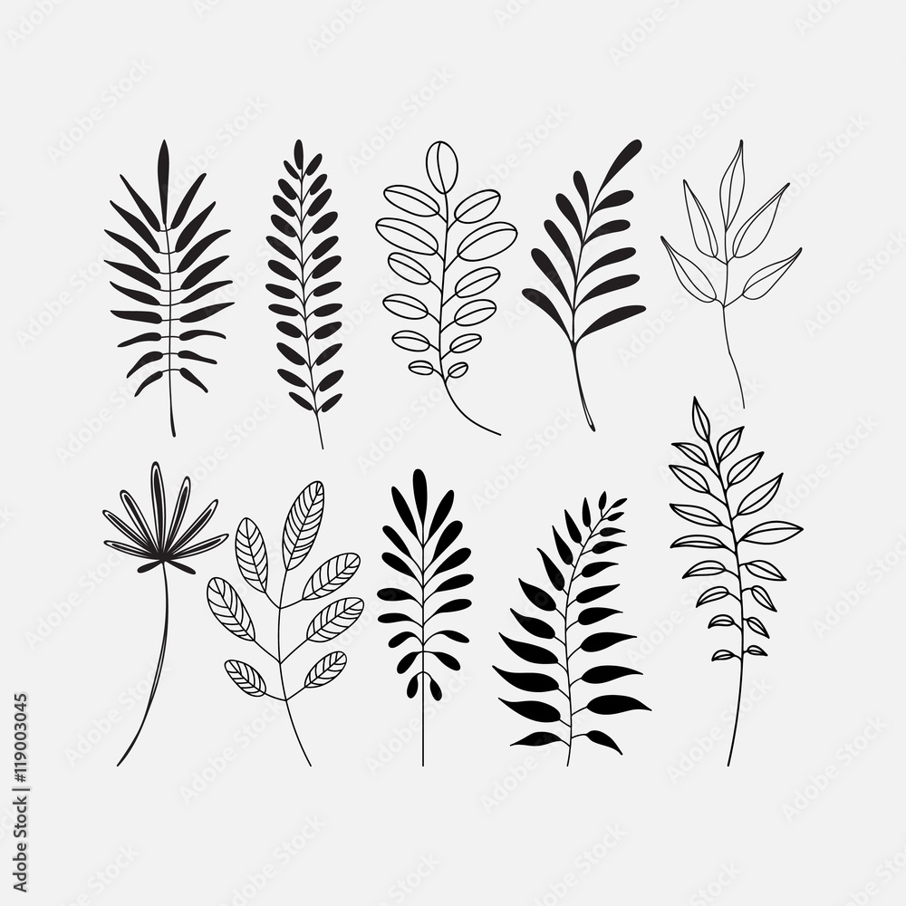 graphic decorative set of leaf icons graphic decorative set of leaf icons