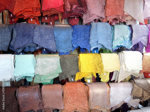  Cuir de poissons coloré 4