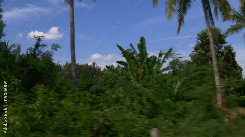 summer day young man riding scooter street view panorama 4k thailand
