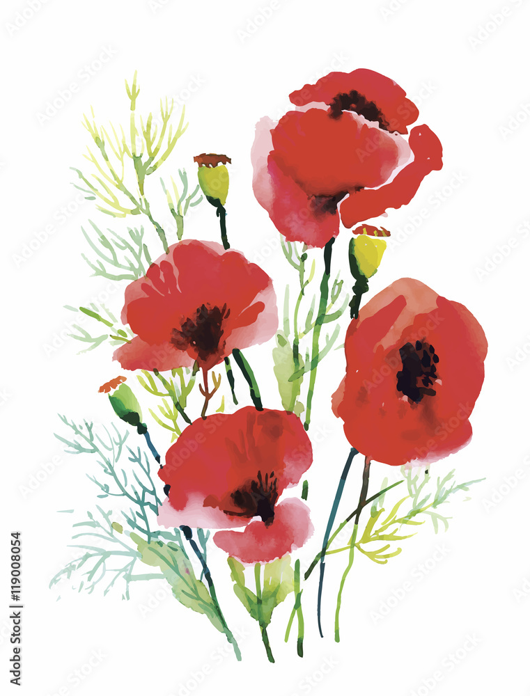 Obraz premium Red watercolor poppies flowers isolated on white background.