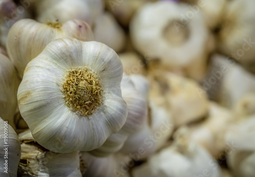 Fresh garlic on sale