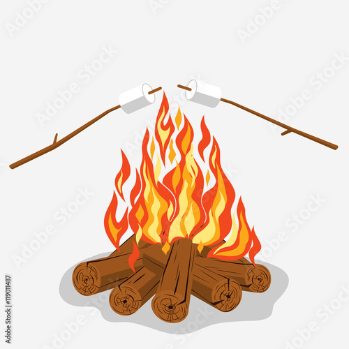 Bonfire with marshmallow