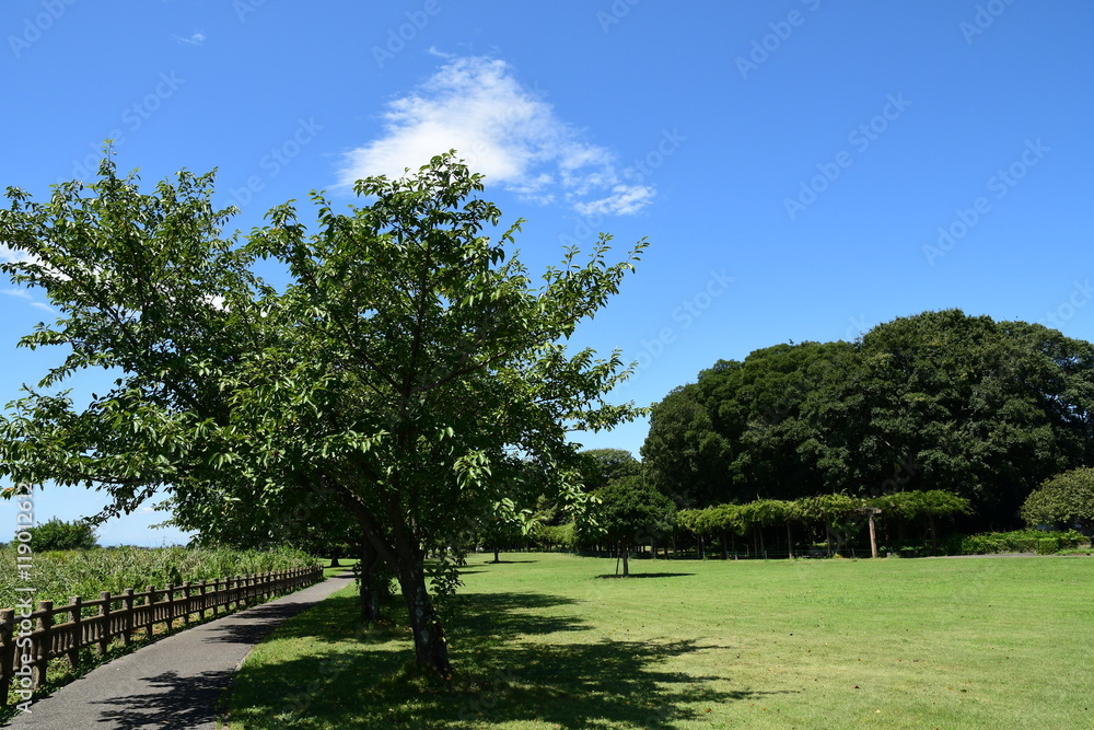 Green park with blue sky