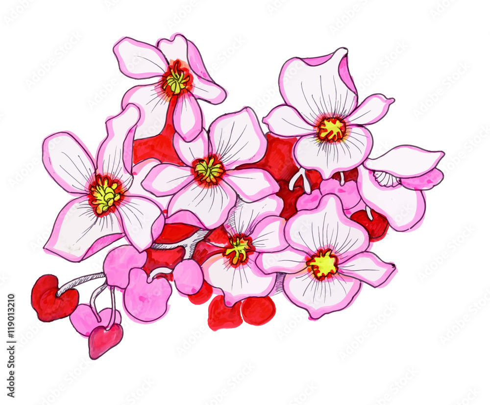Obraz Colorful pink flowers, watercolor illustration.