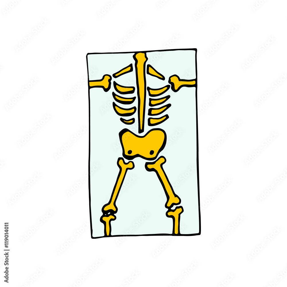 x ray skeleton Roentgen icon isolated on white background x ray skeleton Roentgen icon isolated on white background