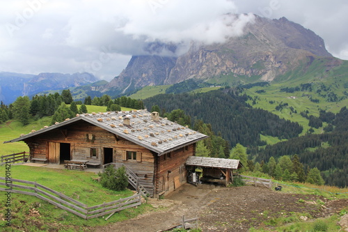 Alpine meadow landscape in Alpe di Siusi, Italy