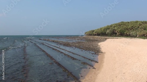 Straight rows of basalt rock Onino Sentakuita (devil's washboard) at Aoshima island Miyazaki, Japan