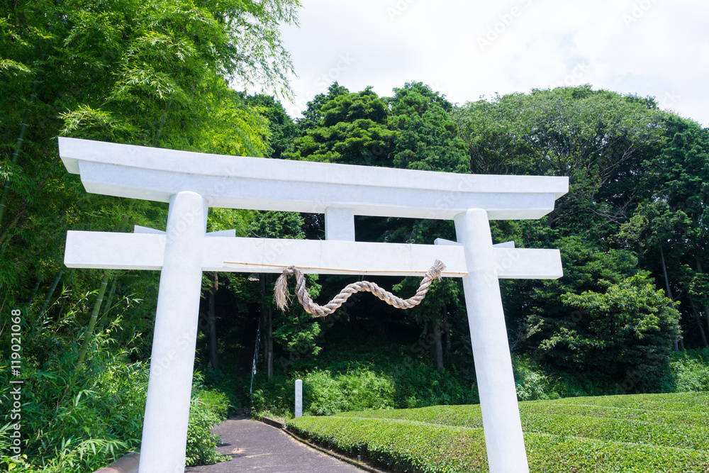 Sengen old burial mound