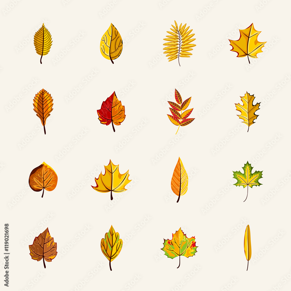 Obraz premium Autumn leaves collection vector illustration. Hand drawn autumn leaves in cartoon style. Design elements.