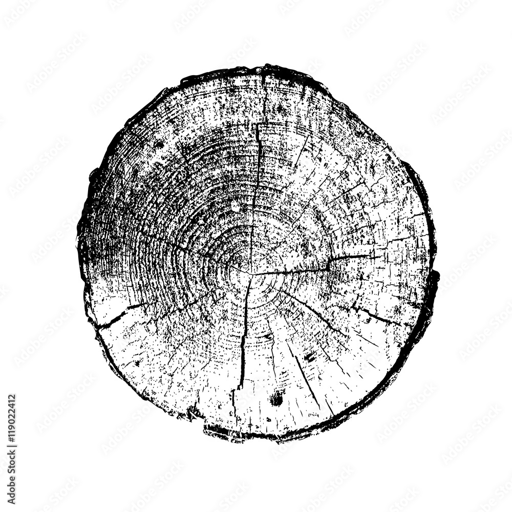 Obraz premium Pierścionek z drzewa, kłoda, pień drewna. Czarny i biały. Wektorowa ilustracja EPS 10 odizolowywająca na białym tle