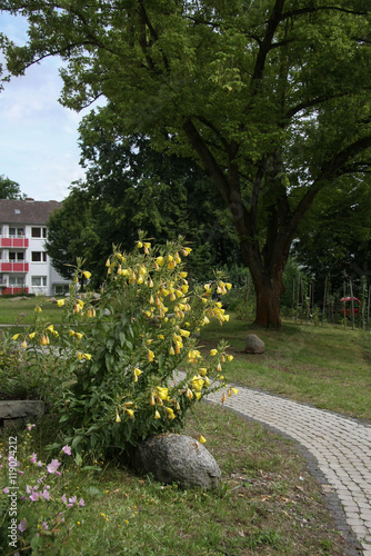 Stadtgarten in Wohnanlage