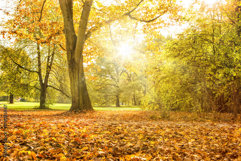 Obraz premium Herbsttag