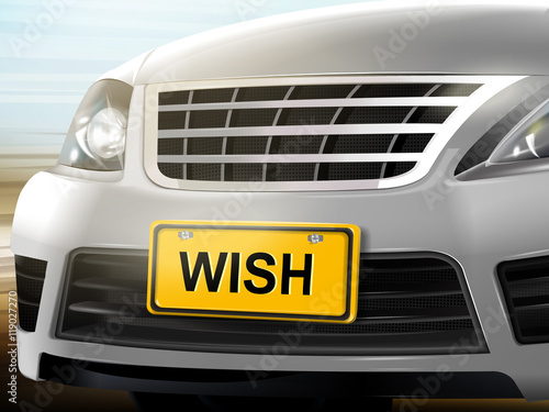 Wish words on license plate
