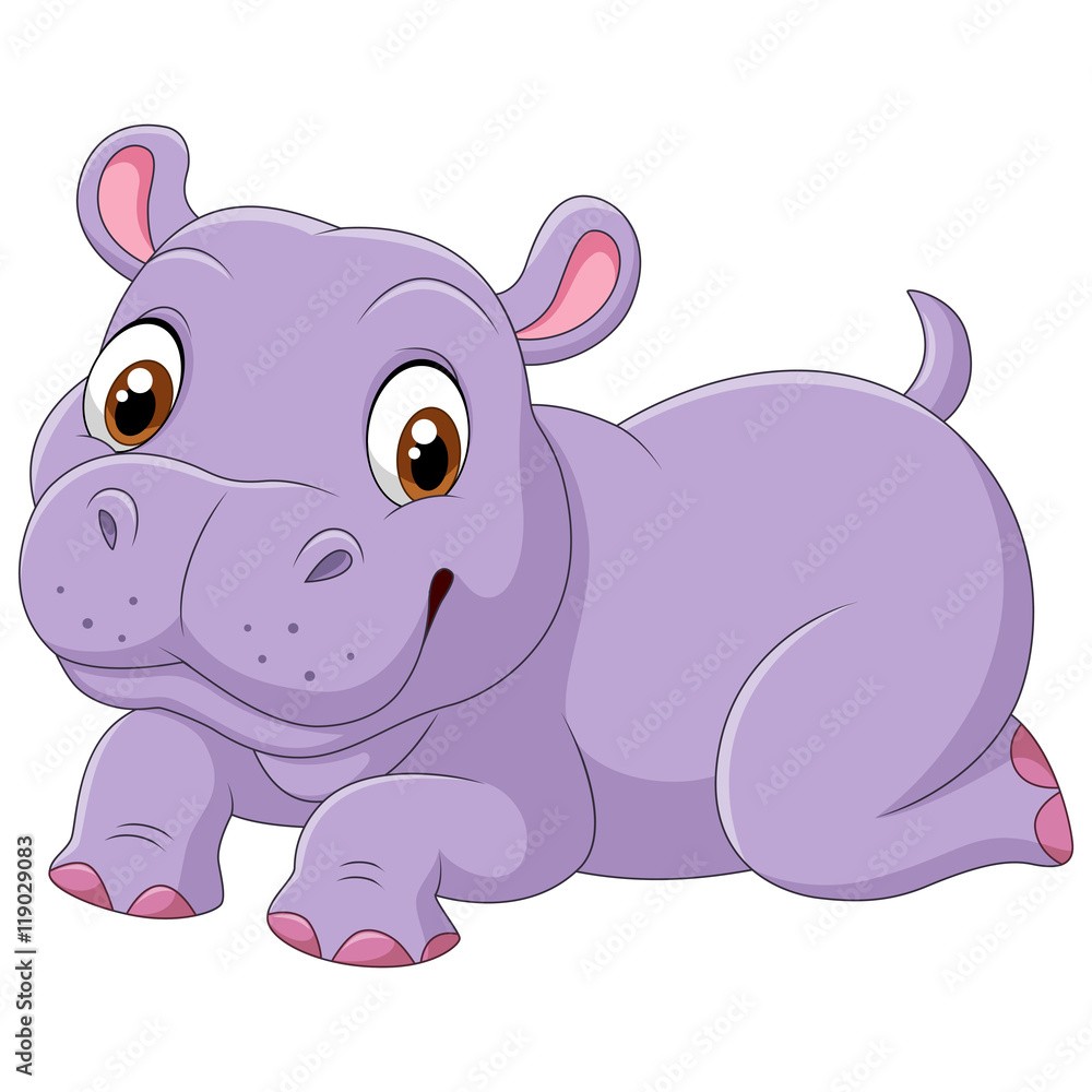 Cute baby hippo isolated on white background