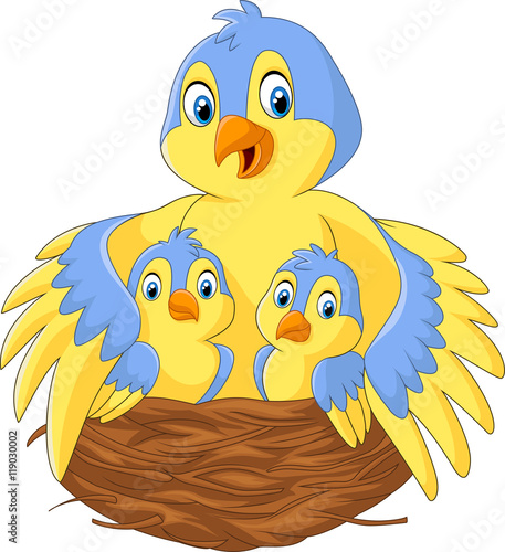 Mother bird with her two babies in the nest