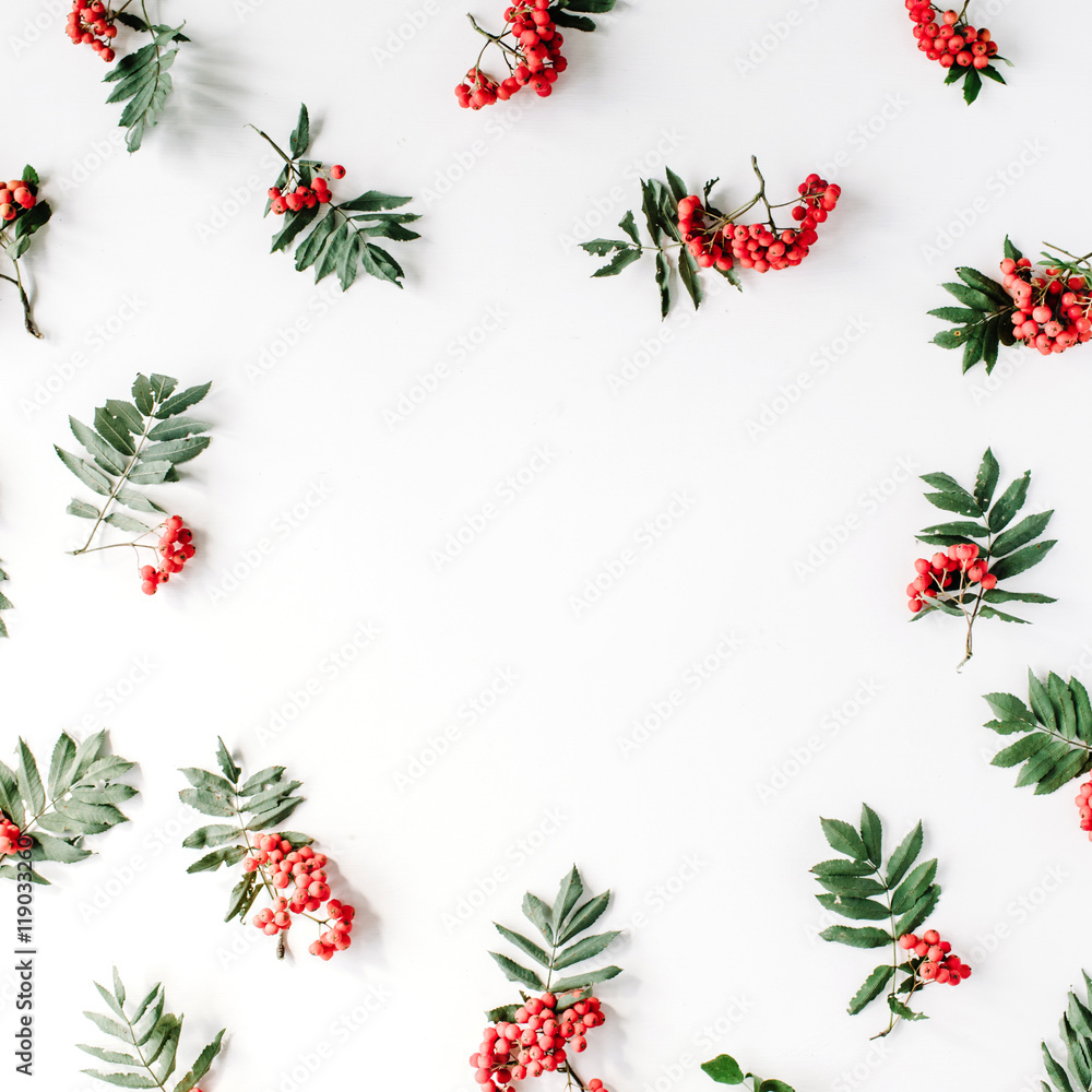 Creative arrangement made of rowan. frame, flat lay, top view. autumn wallpaper Creative arrangement made of rowan. frame, flat lay, top view. autumn wallpaper