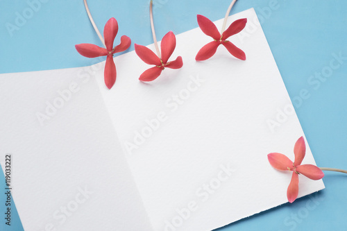 White Wishing Card with red Ixora Blue Tone background with copy