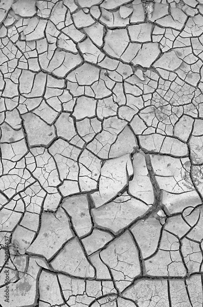 dried soil with multiple cracks, black and white toning dried soil with multiple cracks, black and white toning