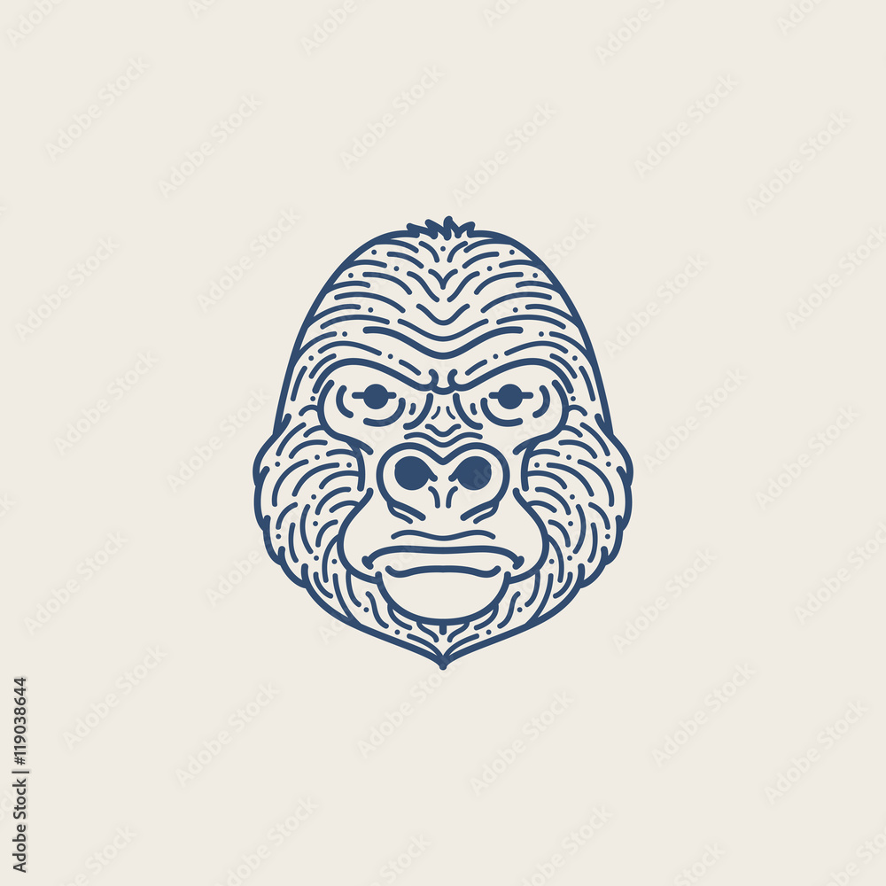 Gorilla Head Gorilla Head