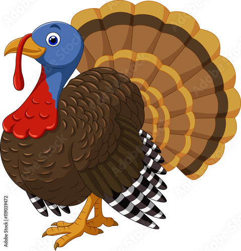 Cartoon turkey character