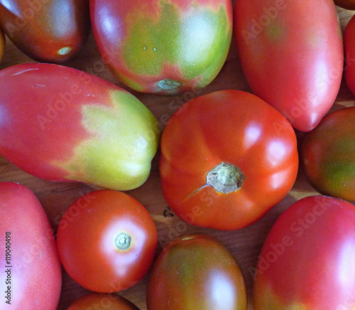 Tomato background. Red ripe and unripe tomatoes.