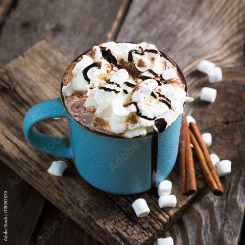 hot chocolate with whipped cream and cinnamon