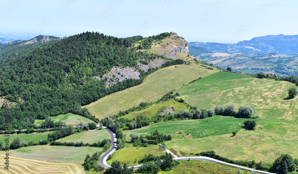 Fototapeta premium A long road into the forest