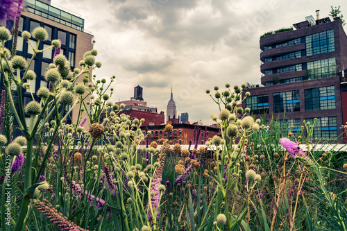 Photography Cityscape view on midtown Manhattan from High Line Park
