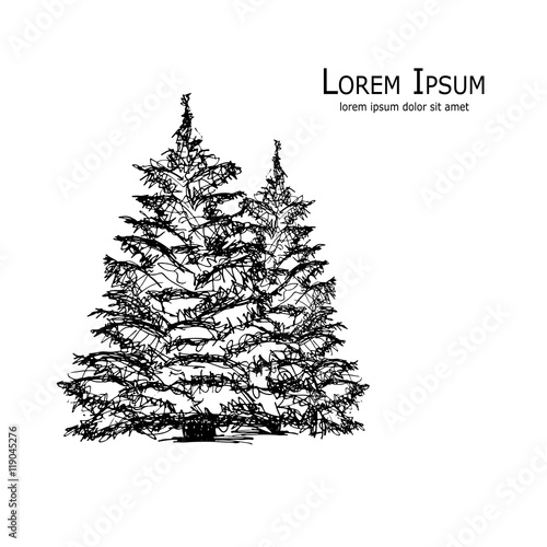 Pine tree, art sketch for your design