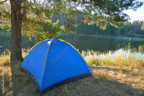 Tourist tent loacated under a pine-tree in summer morning